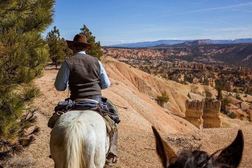 Ruby's Horseback Adventures Utah 1.5 Hour Ride