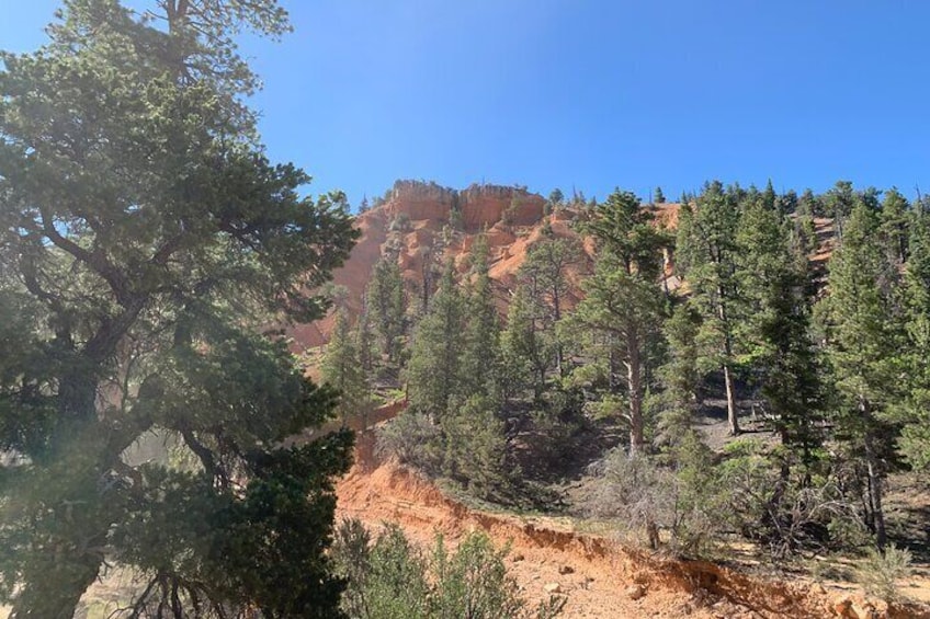 Ruby's Horseback Adventures Utah Half Day Ride