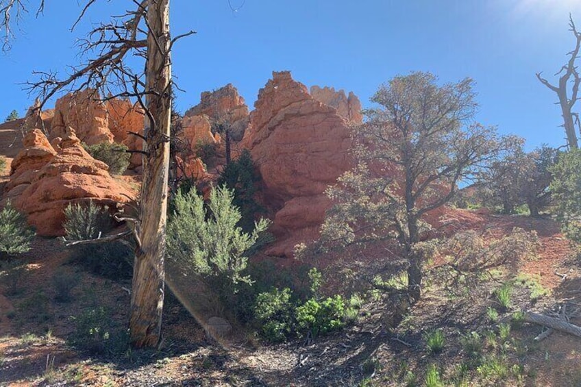 Ruby's Horseback Adventures Utah Half Day Ride