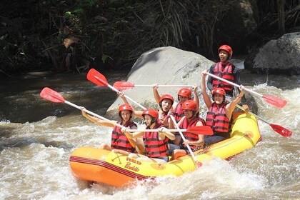 Ayung River - White Water Rafting Bali
