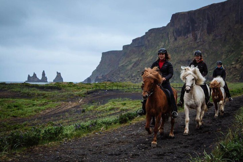 Black Sand Beach Horse Riding Tour from Vik