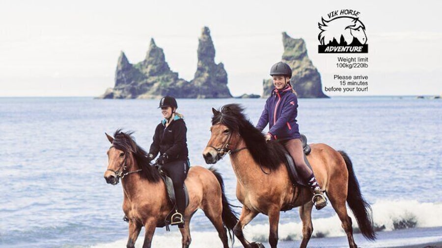 Black Sand Beach Horse Riding Tour from Vik