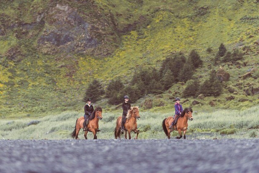 The black sand beach in the summer time