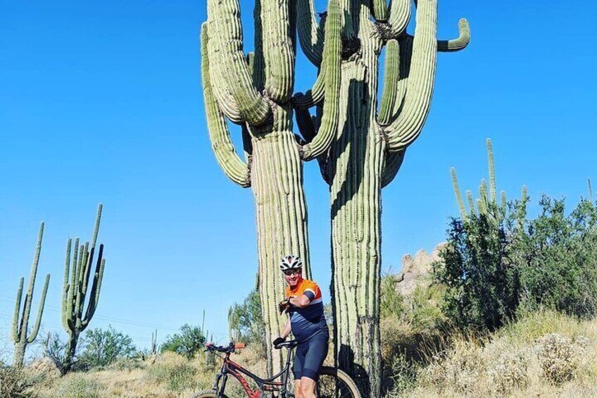 Private Solo Sonoran Half Day Desert Mountain Bike Adventure