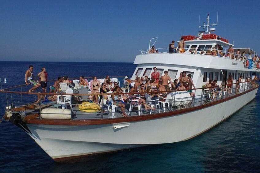 Daily Cruiser SFENDONI