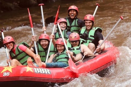bali safari park gianyar Jungle Swing and Bali Ubud Rafting with Lunch Transport