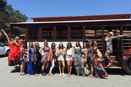 Forfait Premium de Carmel Valley Wine Tour