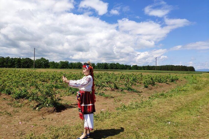 Visit to Lavender Fields & Lavender Oil Extraction Demo