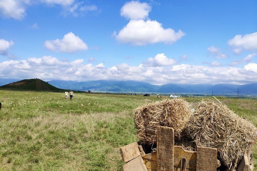 Visit to Lavender Fields & Lavender Oil Extraction Demo