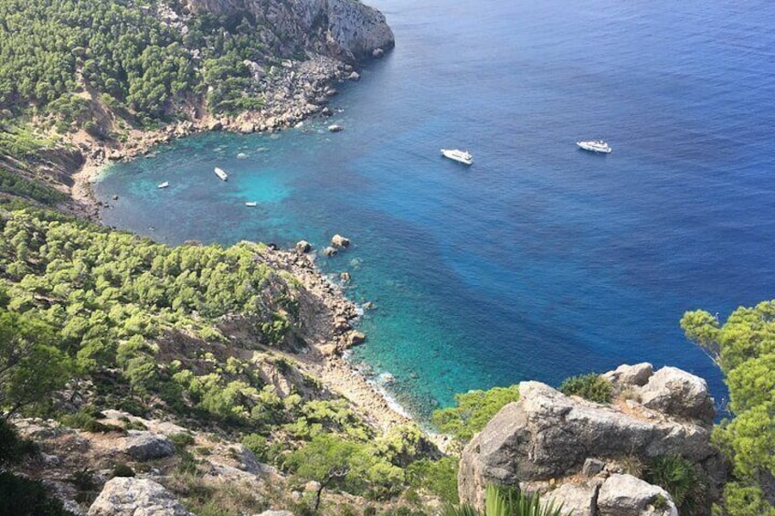 Afternoon Excursion in Valldemossa