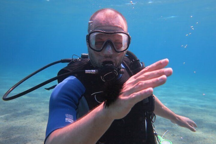 Lets Go Diving with pickup from hotel