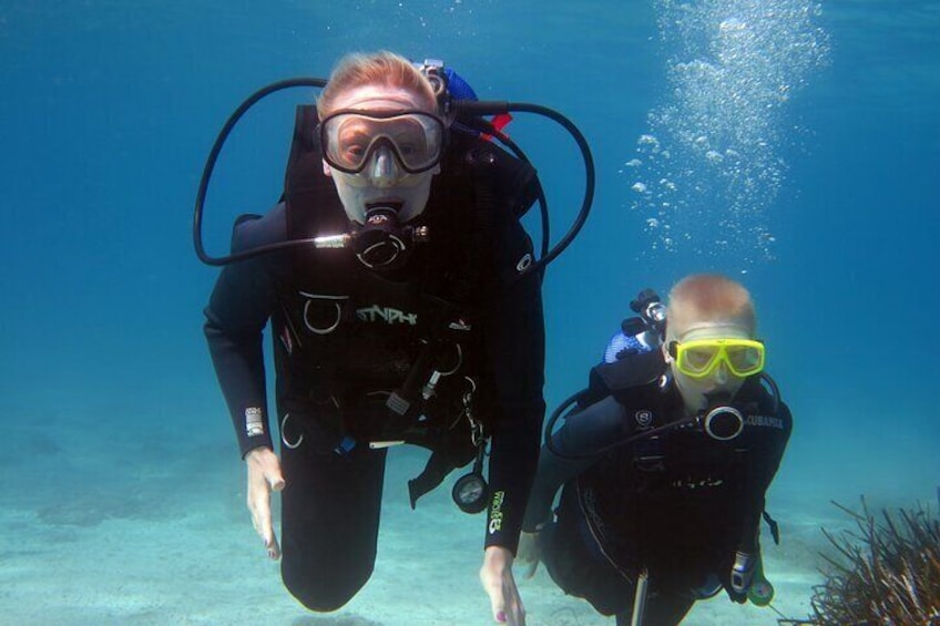Lets Go Diving with pickup from hotel