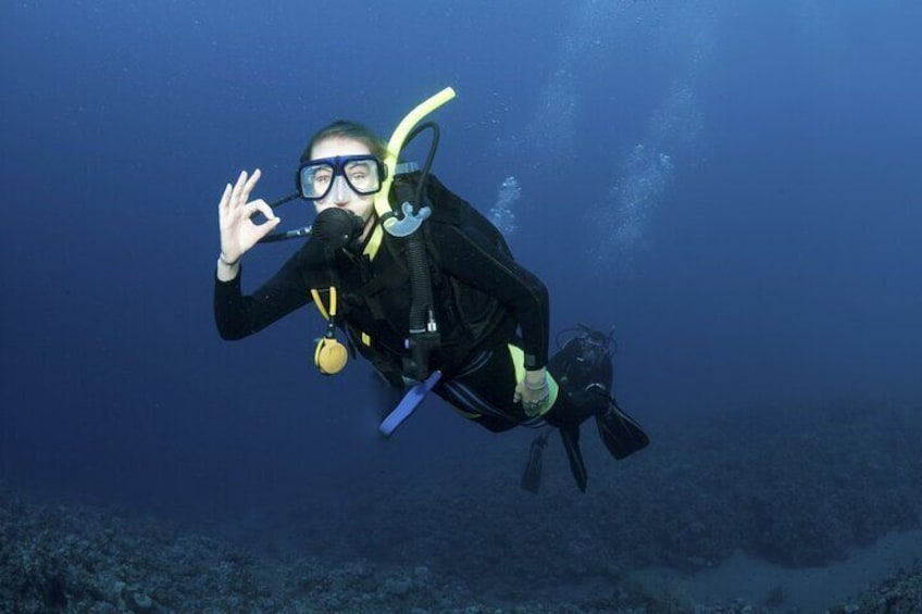 Lets Go Diving