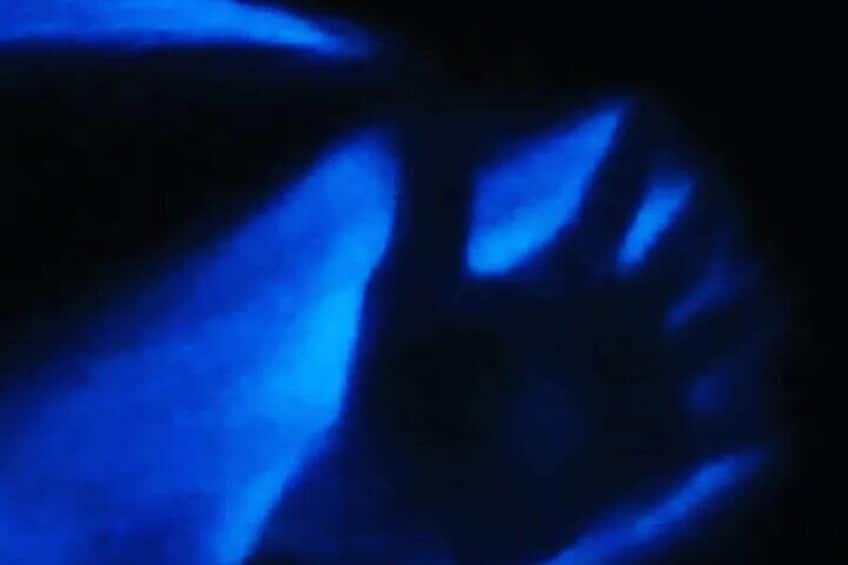Bioluminicense Plancton Tour