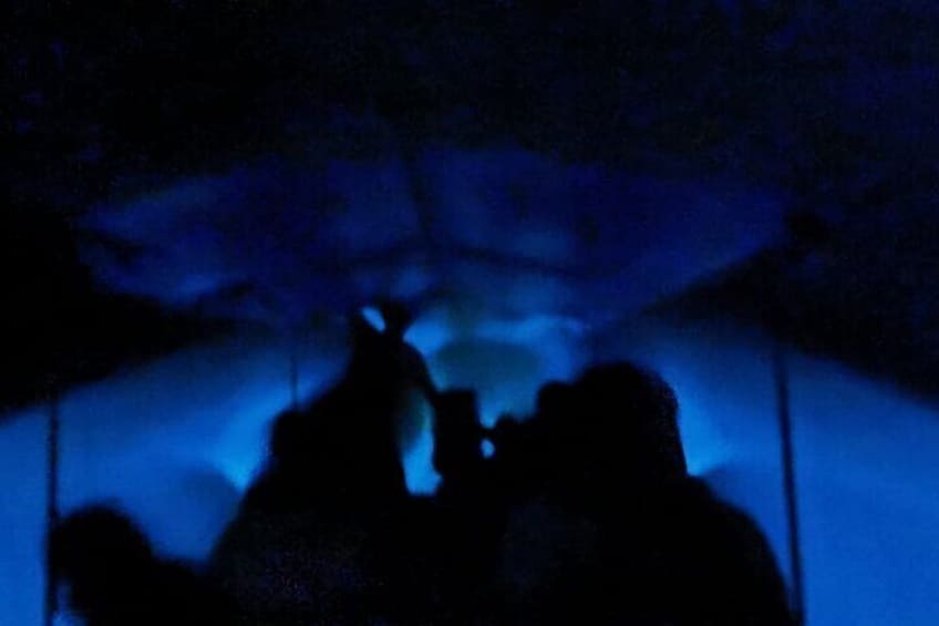 Bioluminiscente Tour At Night