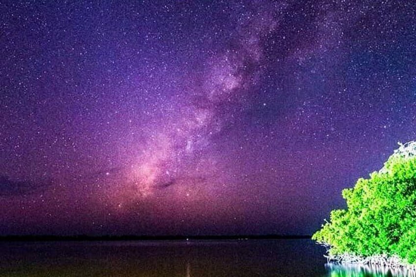 Bioluminiscente Tour At Night