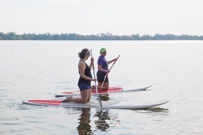 Kayaks ,paddle Boards And Bird Watching