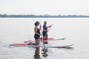 Kayaks ,paddle Boards And Bird Watching