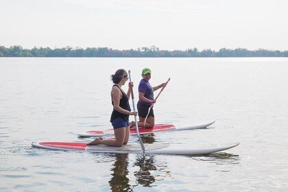 Kayaks, Paddle Boards and Bird Watching