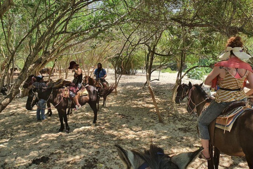 Horses and Hot Springs Tour