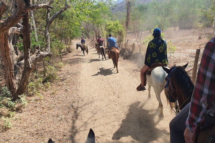 Horses and Hot Springs Tour