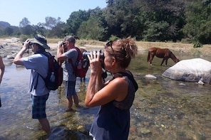 Horses And Hot Springs