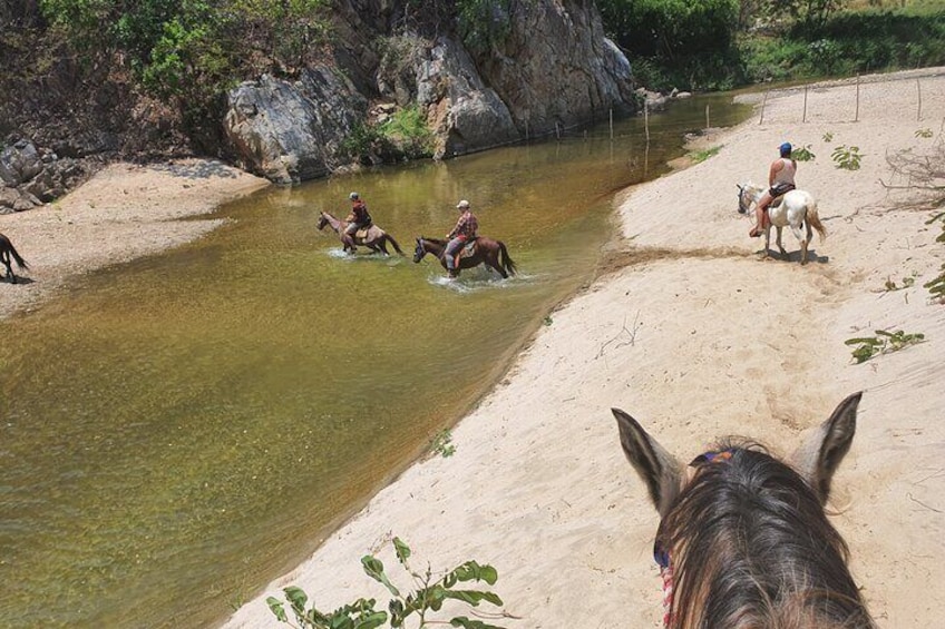 Horses and Hot Springs Tour