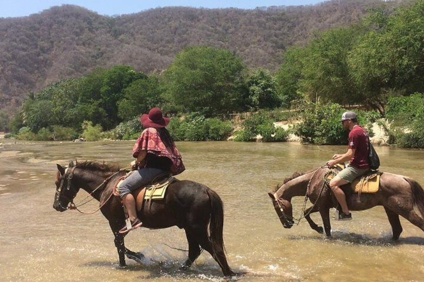 Cabalgata de caballos 