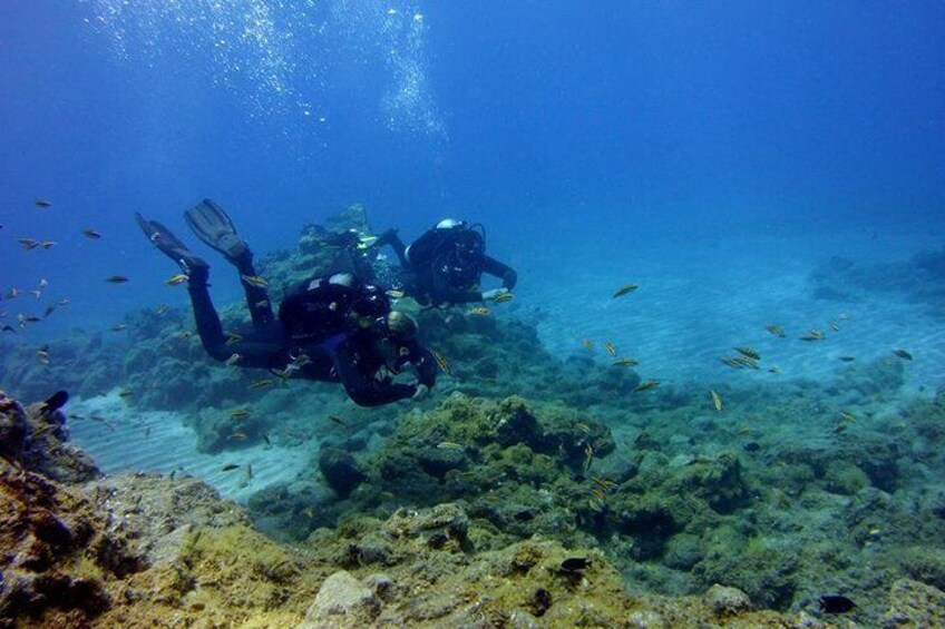 Discover Scuba Diving