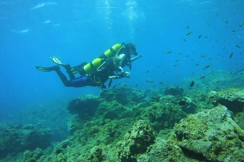 Discover Scuba Diving