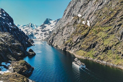 Lofoten Island: Silent Trollfjord Cruise from Svolvær