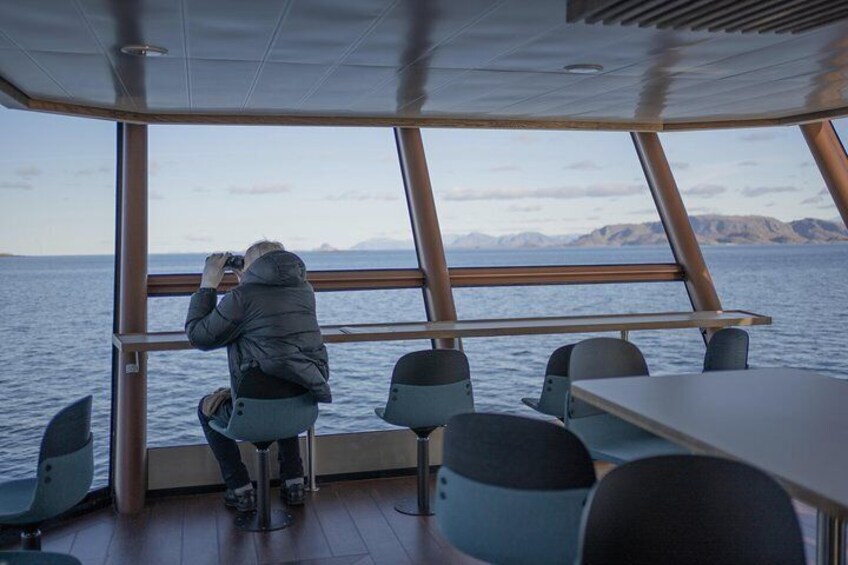 Silent Trollfjord Cruise