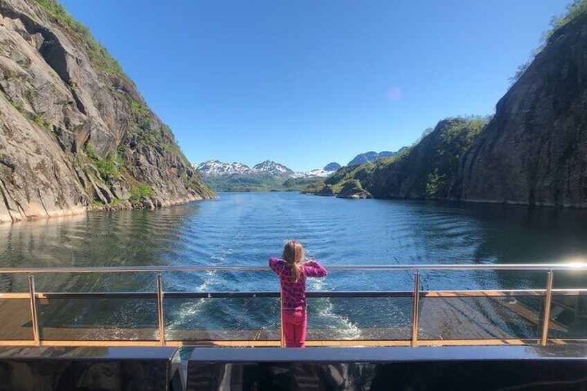 Silent Trollfjord Cruise