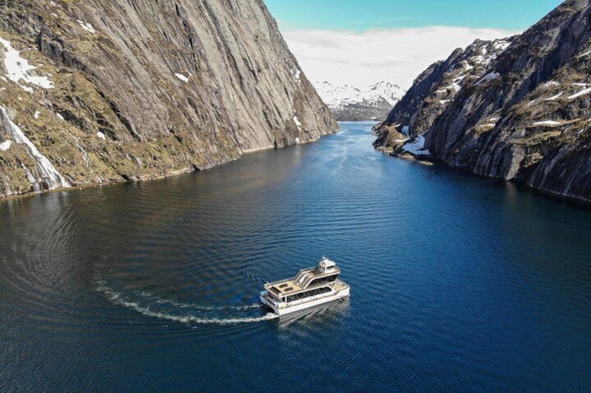 Silent Trollfjord Cruise