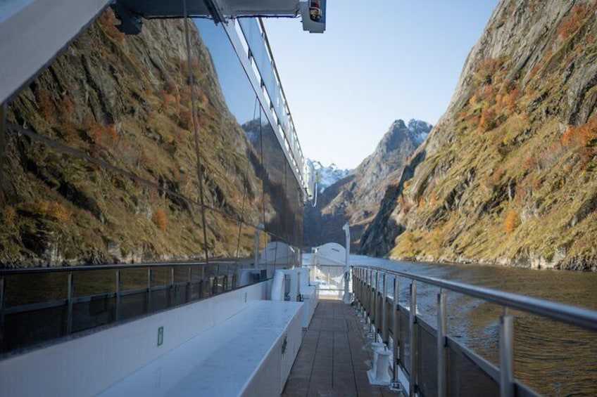 Silent Trollfjord Cruise