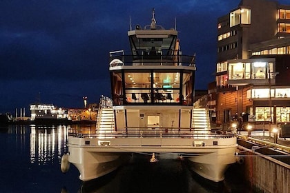 Tromso Aurora Croisière avec 3 - Dîner de cours