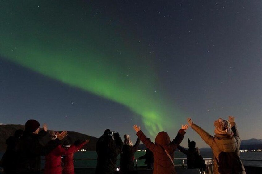 Northern Lights Cuisine Cruise