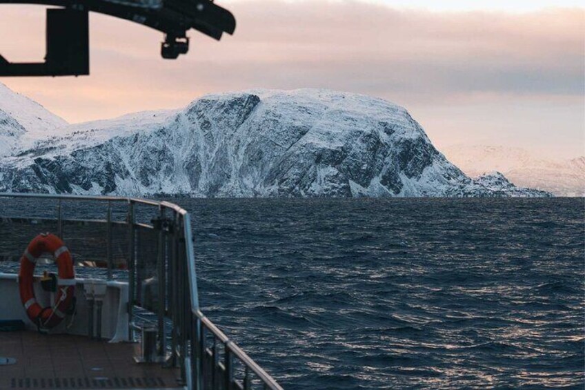 Silent Whale Watching on Hybrid-Electric boat with Scenic bustrip