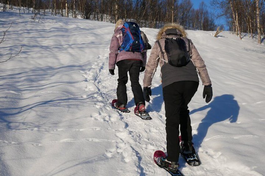 Snowshoeing With A View