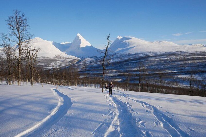 Snowshoeing With A View