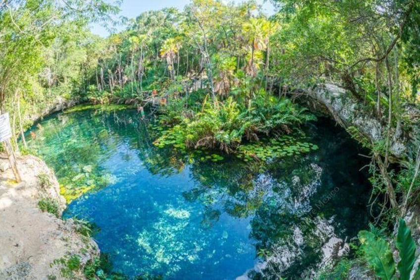 Private tour to Tulum and Cenote with Mayan Lunch