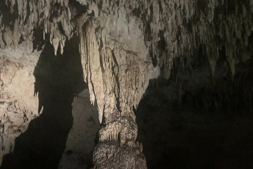 Dos Ojos cenote bat cave