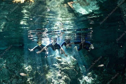 VIP Dos Ojos Cenote privétour met Maya-lunch / all-inclusive