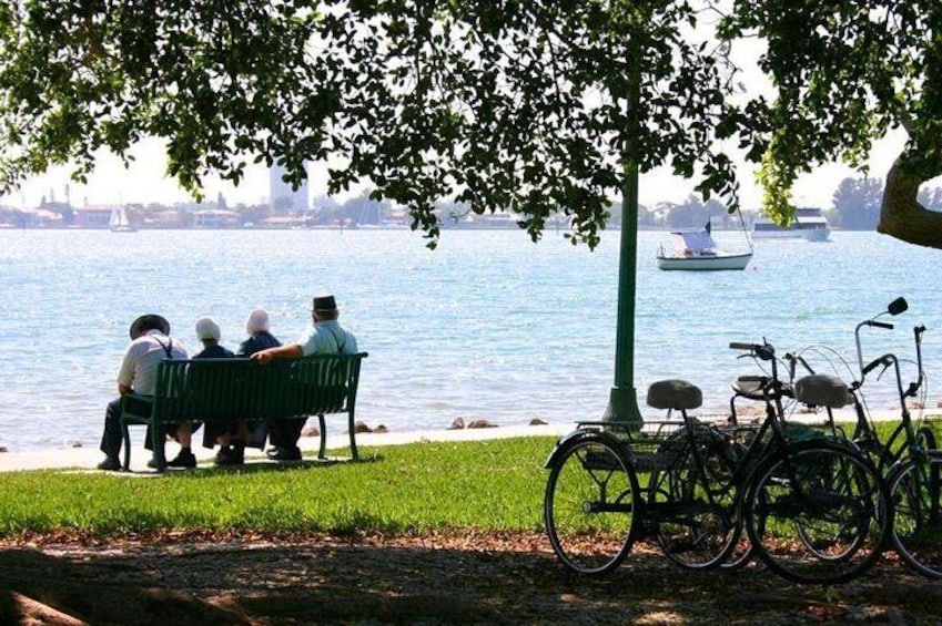 Amish Experience Trolley Tour: Bridges to Understanding