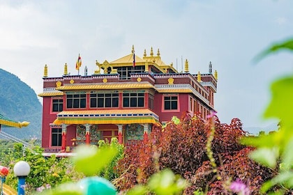 Afternoon Tibetan Cultural Tour to Tibetan Settlements Pokhara