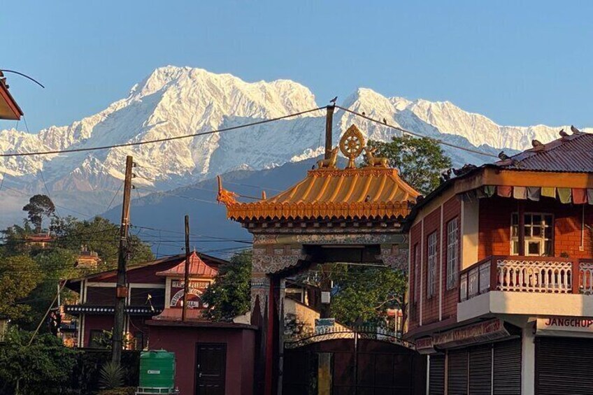 Gorgeous Mountain View