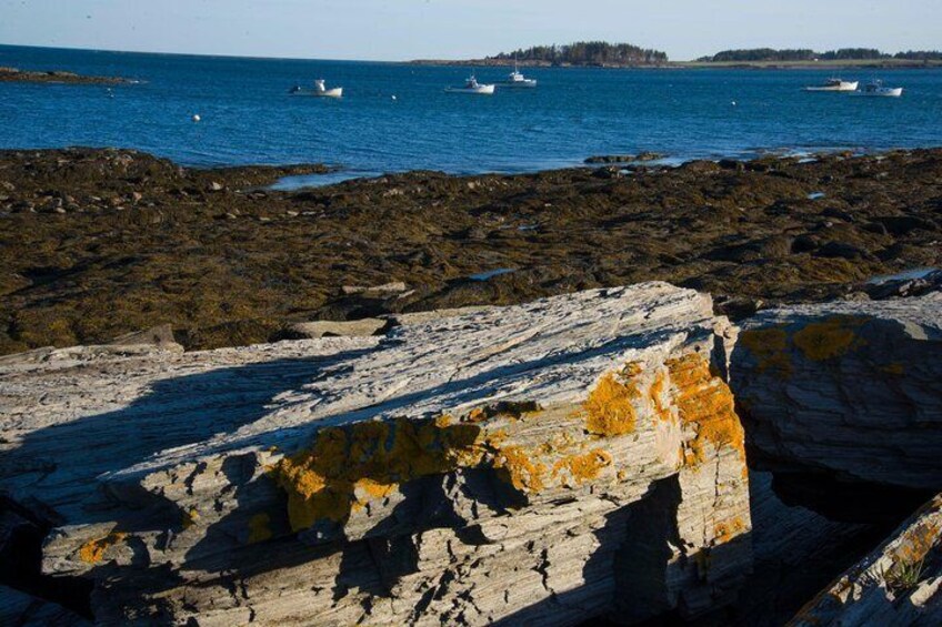 Rocky Coast of Maine