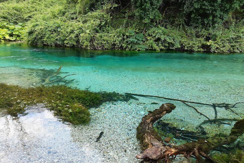 Explore Blue Eye- The Monument of Nature