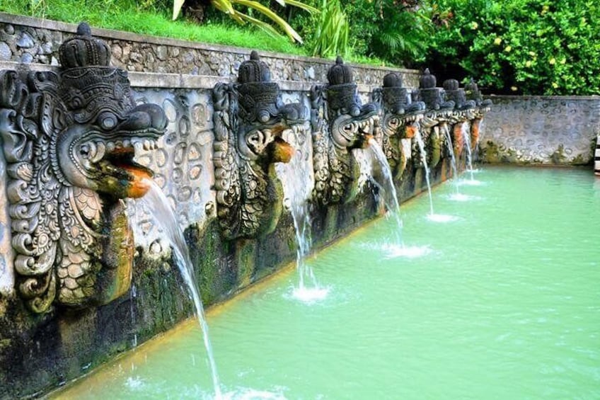 Banjar Natural Hotspring Bali Dolphin Tour Package Combination With Bedugul Trip