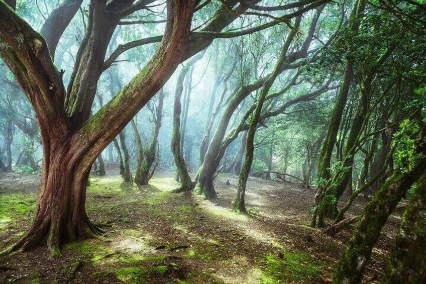 Hike into the lost paradise Anaga